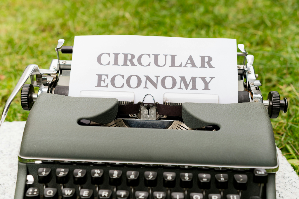 Webinar: Economia circular i sostenibilitat: noves oportunitats per al comerç de moda
